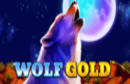 wolf-gold